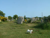 carnac